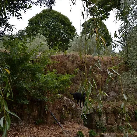 Quinta Das Lamas E Salgueirinhos