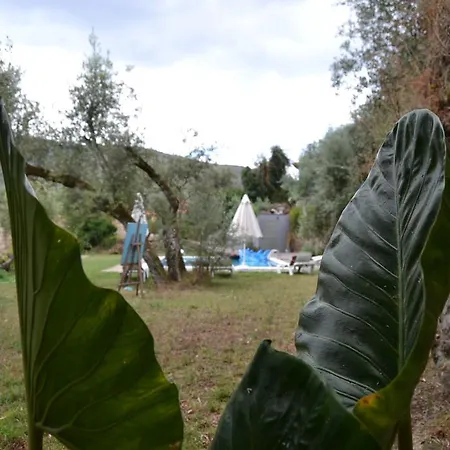 Gospodarstwo agroturystyczne Quinta Das Lamas E Salgueirinhos Resende