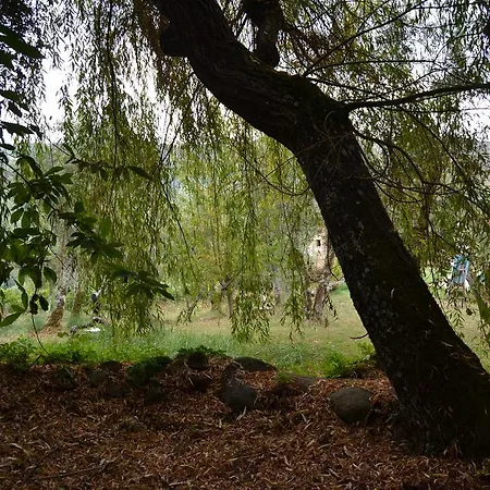 Quinta Das Lamas E Salgueirinhos * Resende