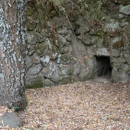Quinta Das Lamas E Salgueirinhos Farm stay