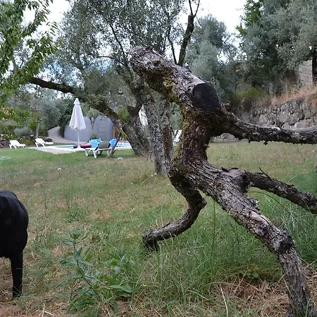 Gospodarstwo agroturystyczne Quinta Das Lamas E Salgueirinhos *