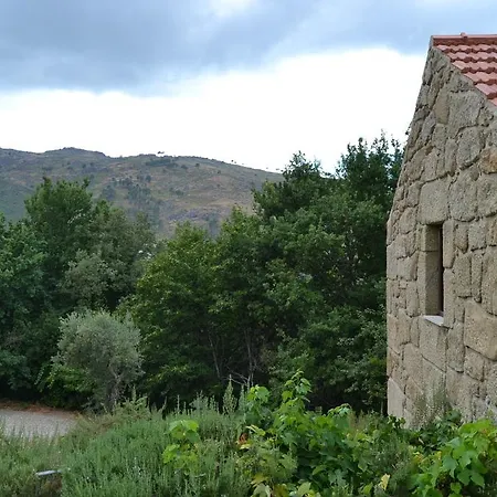 Gospodarstwo agroturystyczne Quinta Das Lamas E Salgueirinhos