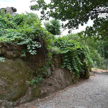 Quinta Das Lamas E Salgueirinhos Resende