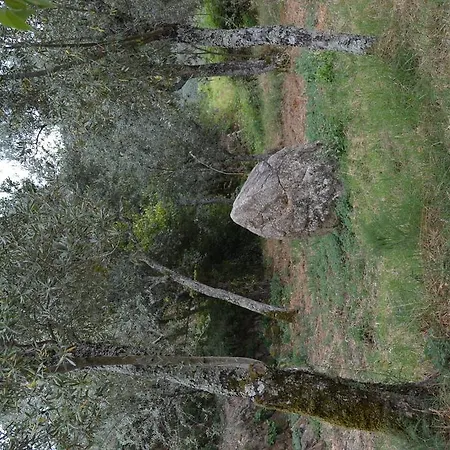 Quinta Das Lamas E Salgueirinhos * Resende