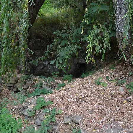 Gospodarstwo agroturystyczne Quinta Das Lamas E Salgueirinhos
