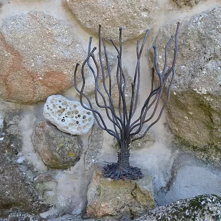 Quinta Das Lamas E Salgueirinhos Gospodarstwo agroturystyczne *